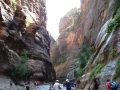 2008.07.24-29 BeckmanAndZion 062