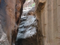 2008.07.24-29 BeckmanAndZion 064