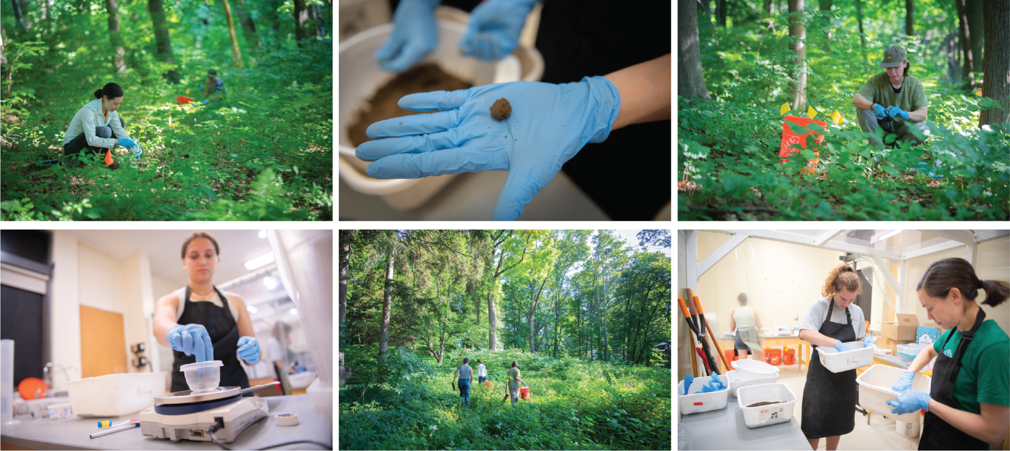 Lab photo collage 2024 – McCullough Lab
