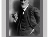 15 Roth on Freud