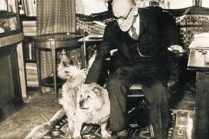 Freud Dog