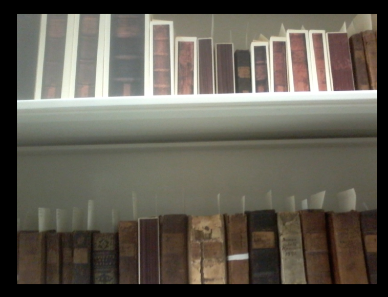 Mather Library on Shelves