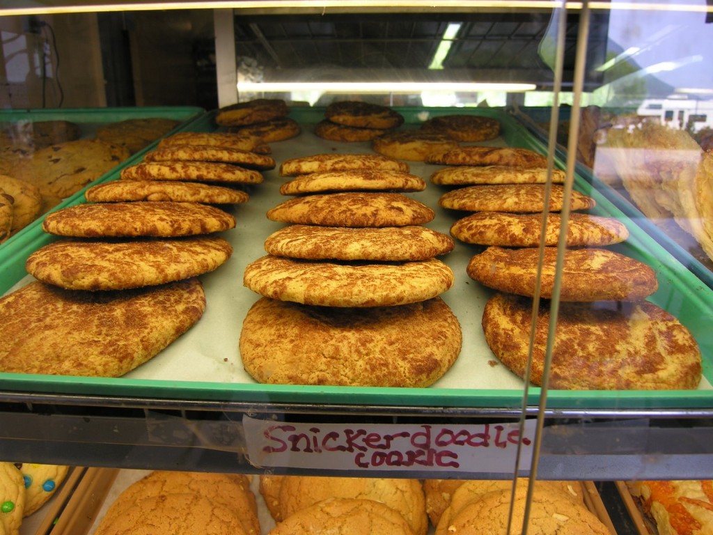 Of course we stopped in Girdwood for the giant snickerdoodles. They are an amazing confection of sugar and warm-baked goodness and procuring them is an essential stop along the way.