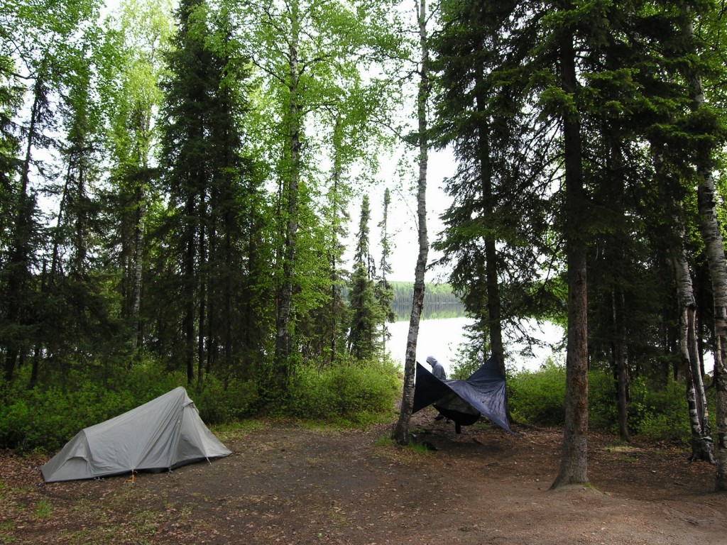 Our campsite at South Rolly. Lauren has a hammock-tent that was interesting to try and figure out. She set it up a little more successfully when we got to Talkeetna. I was smart and decided to sleep in the tent. Haha.