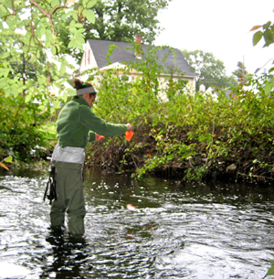 Releasing surrogates into an urban stream to study retention rate