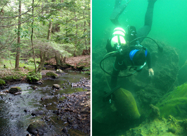 left: Silver Brook- one of Erin's study site. Right: Diving in Lake George, NY