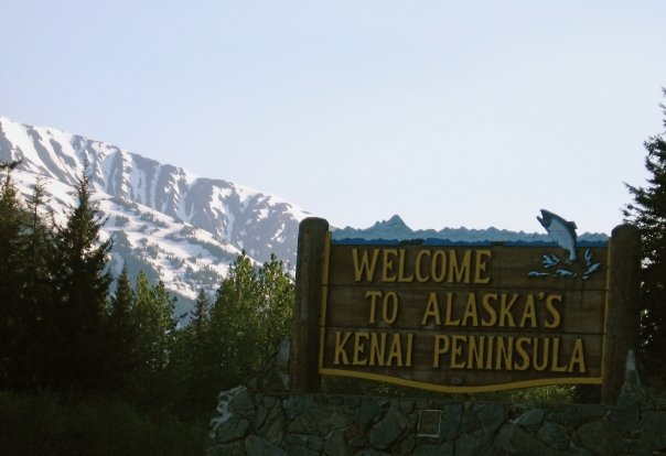 Kenai board