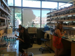 Valerie, Kendall, and Jenna working with the embryos in the lab.
