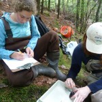 Nick Pagan securing the tag on the mussel, and Hannah Reich writing tag number on the data sheet. 