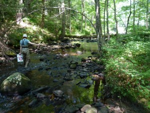 Me walking through the stream with a bucket of mussels. 