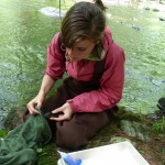 Audrey Seiz drying and super gluing a tag to the mussel.