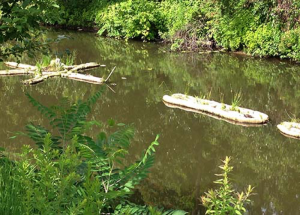 Canal restorers made of bamboo and local vegetation float on the Blackstone, supporting ecosystems once abundant in the river.